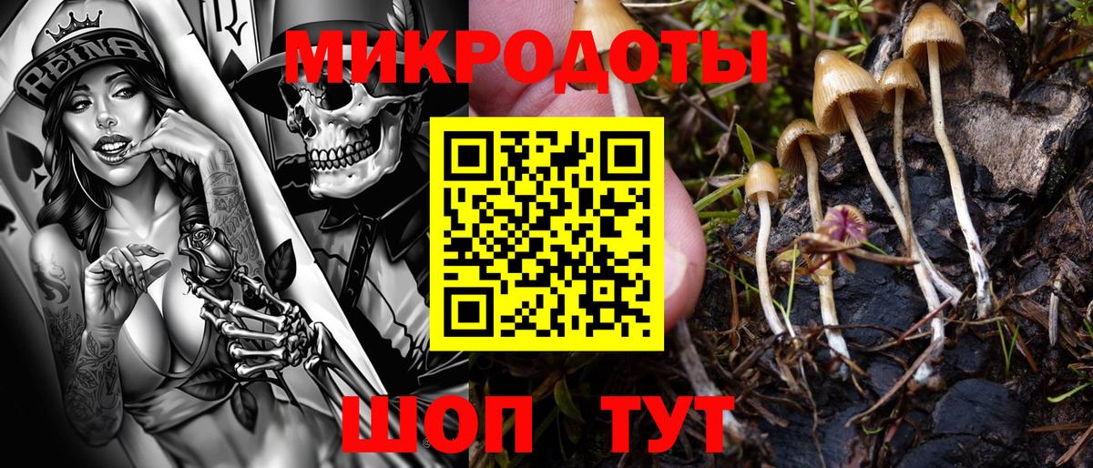 Псилоцибиновые грибы мухоморы Химки